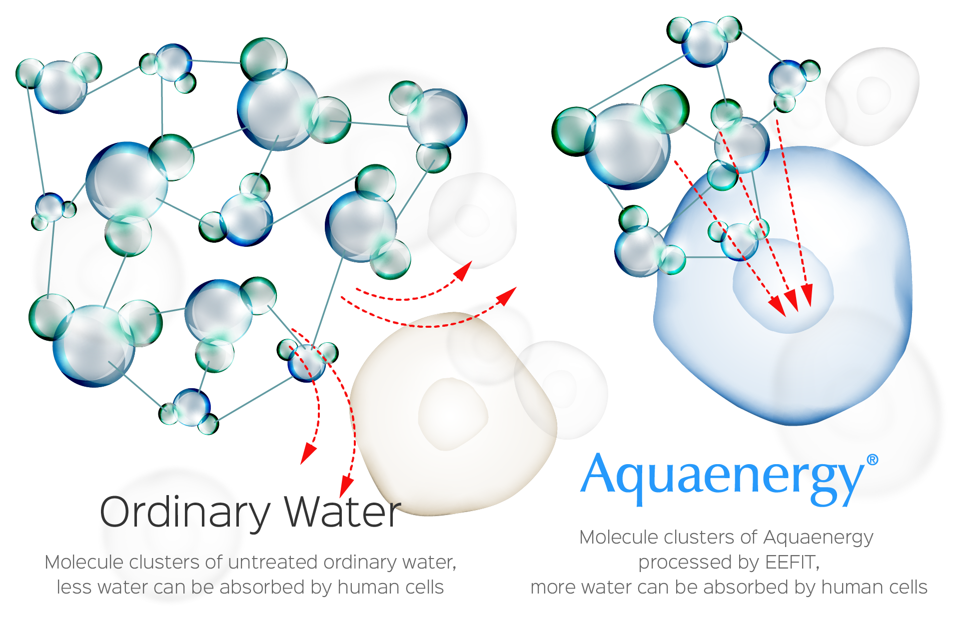 AquaenergyEN 01 1