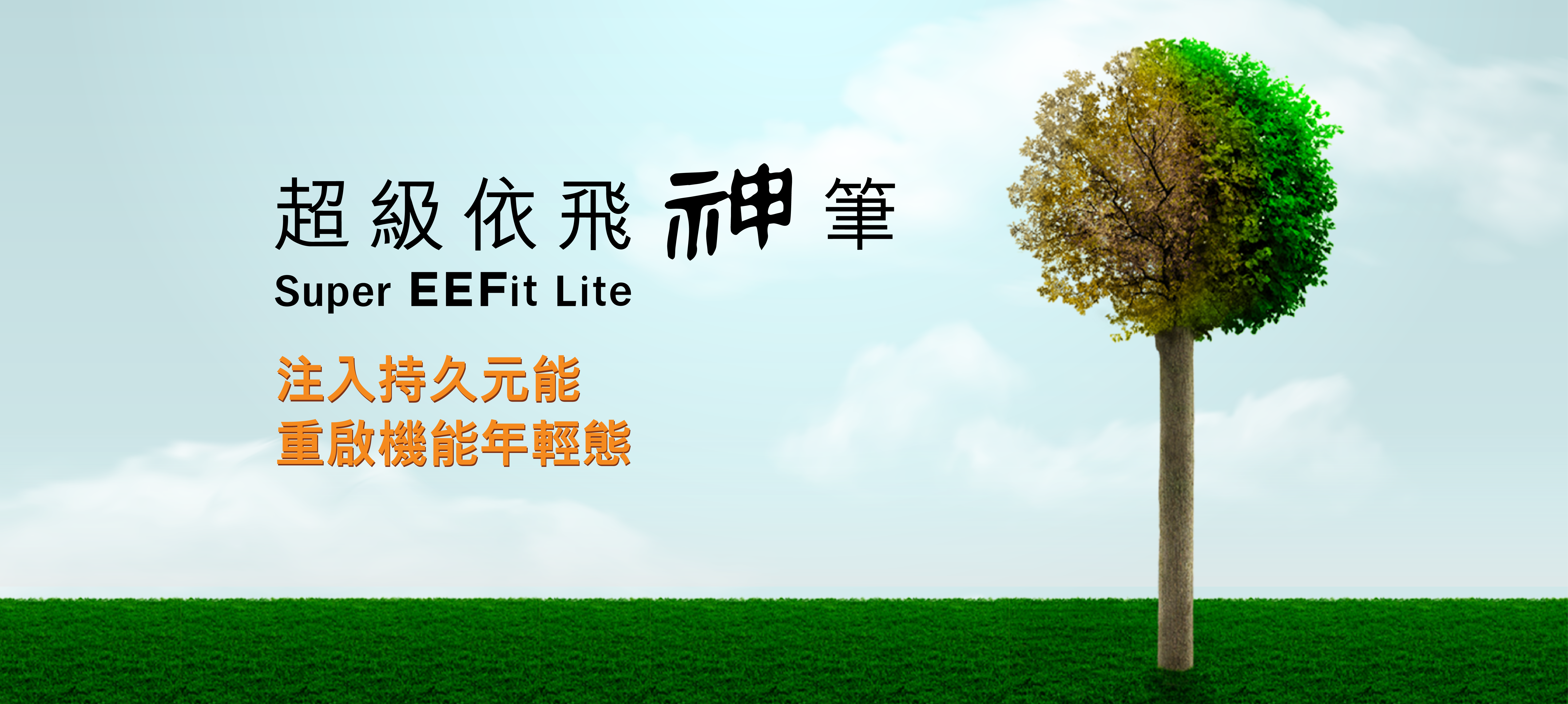 超級依飛神筆 1 SuperEFFitLite2