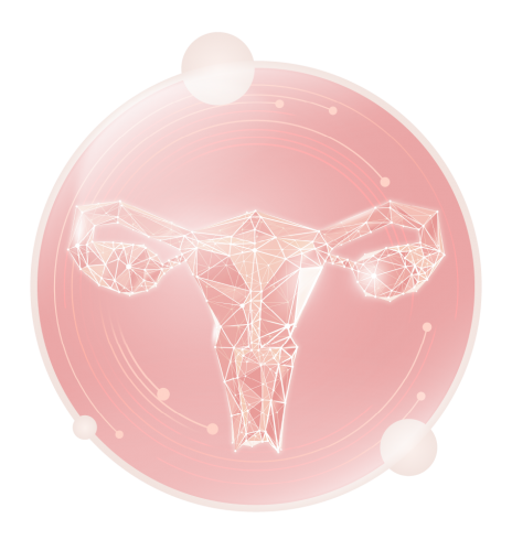 uterus uterus